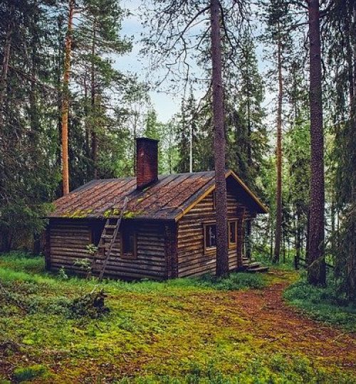 log-cabin-1886620_640